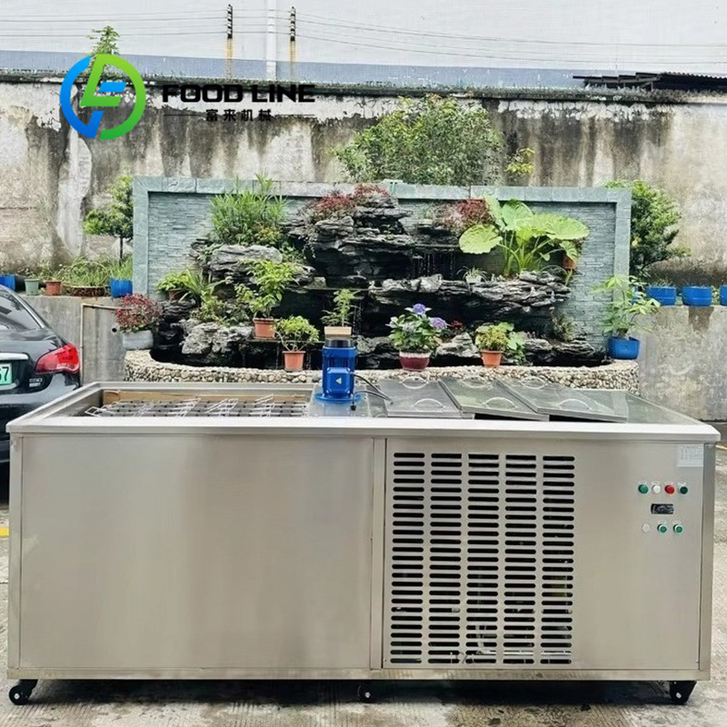 Maszyna do produkcji bloków lo – Block Ice Machine 1 Ton recenzja i cena